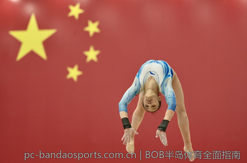 BOB半岛体育全面指南