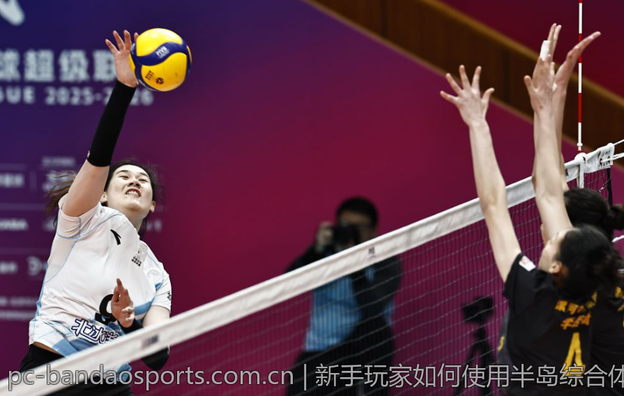 新手玩家如何使用半岛综合体育