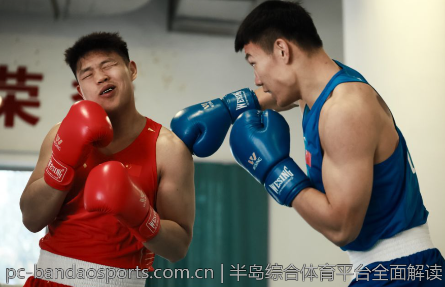 半岛综合体育平台全面解读